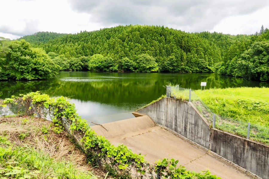 f:id:cippillo:20171007173951j:plain