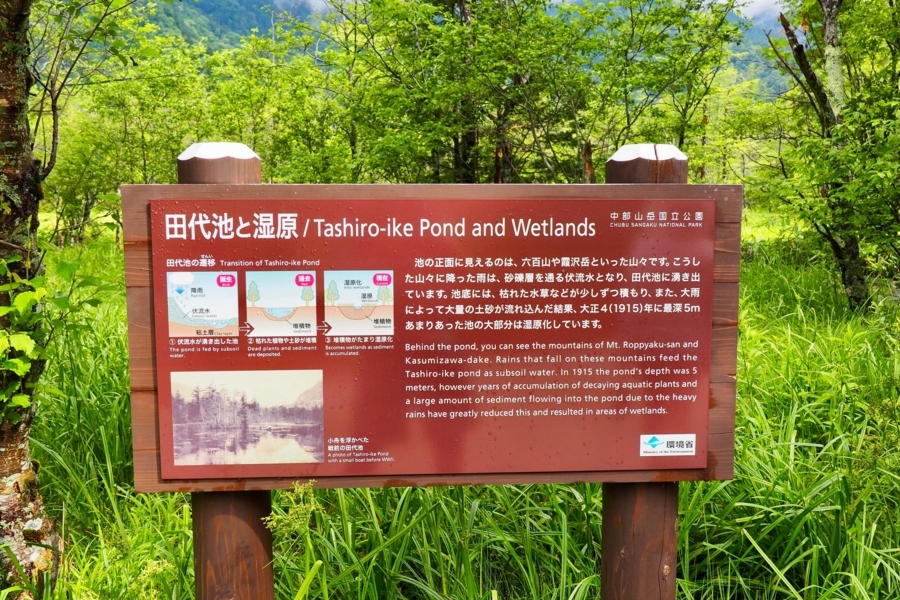 f:id:cippillo:20171007174010j:plain