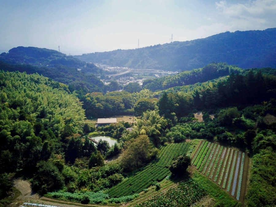 f:id:cippillo:20171015230156j:plain f:id:cippillo:20171015230156j:plain