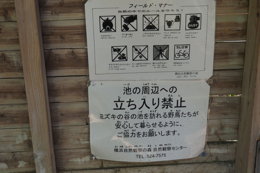 f:id:cippillo:20171111084024j:plain