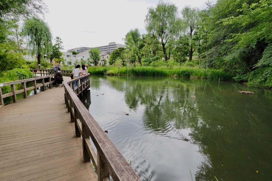 f:id:cippillo:20171114105114j:plain