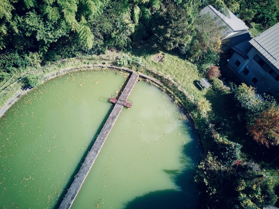 f:id:cippillo:20171117091040j:plain