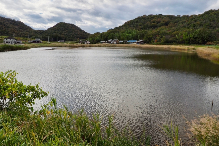 f:id:cippillo:20171201103104j:plain