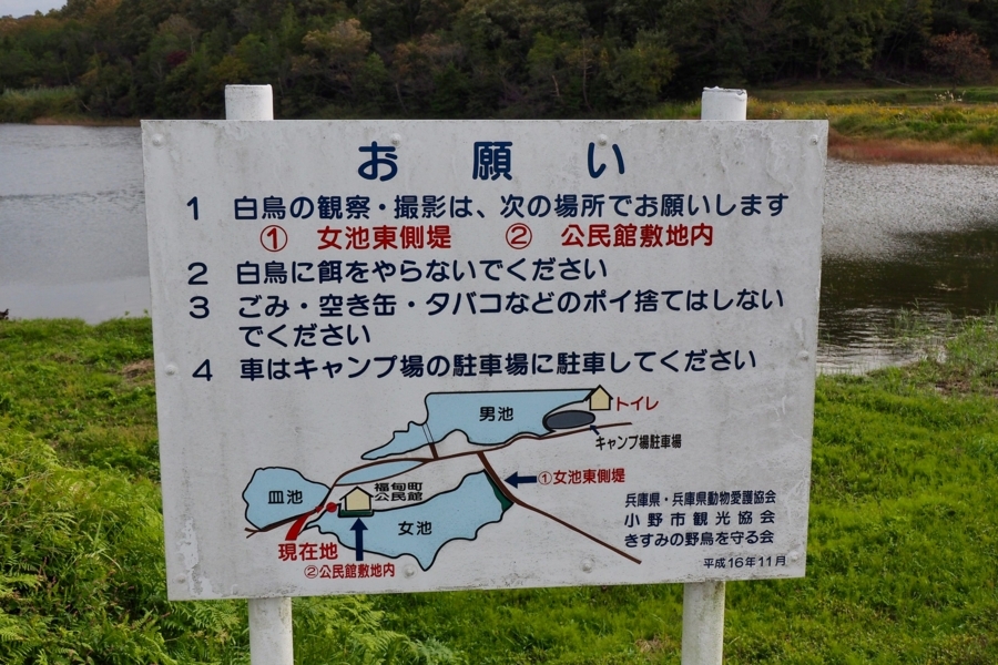 f:id:cippillo:20171201103105j:plain