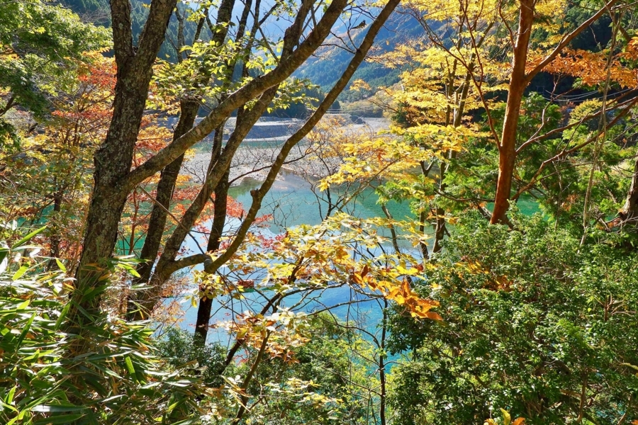 f:id:cippillo:20171207084247j:plain