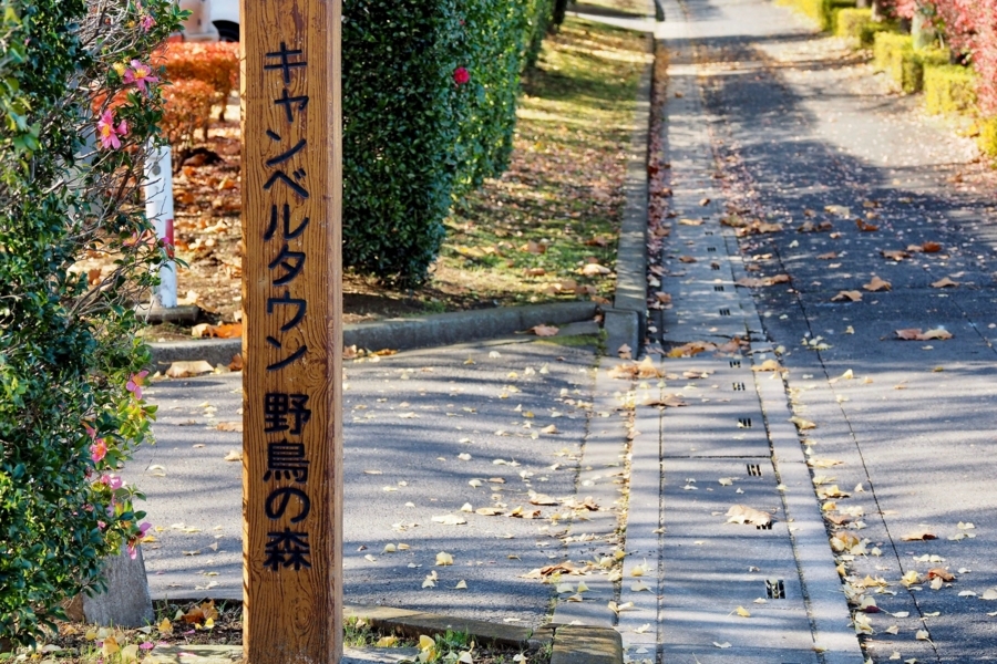 大吉調整池(埼玉県越谷) 水辺遍路