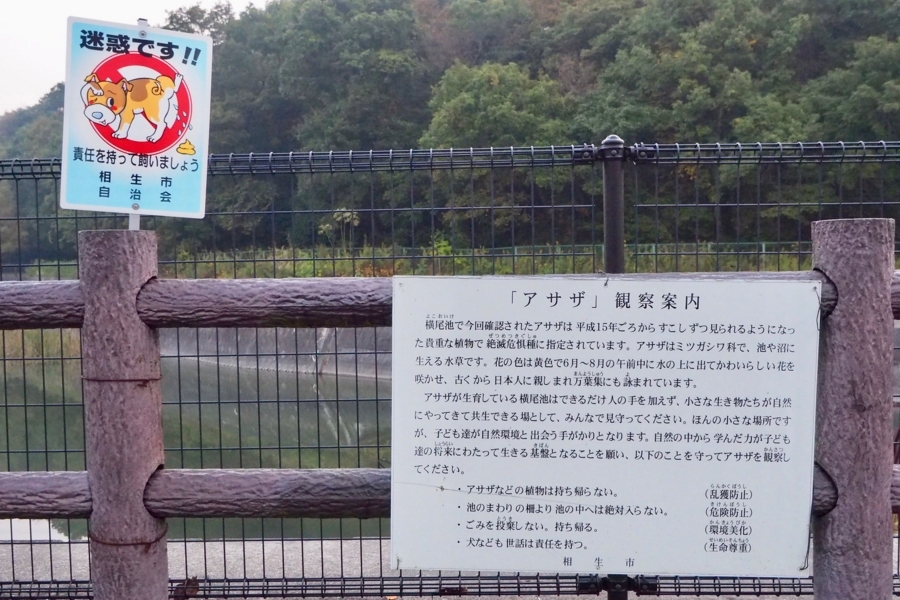 f:id:cippillo:20171211191515j:plain