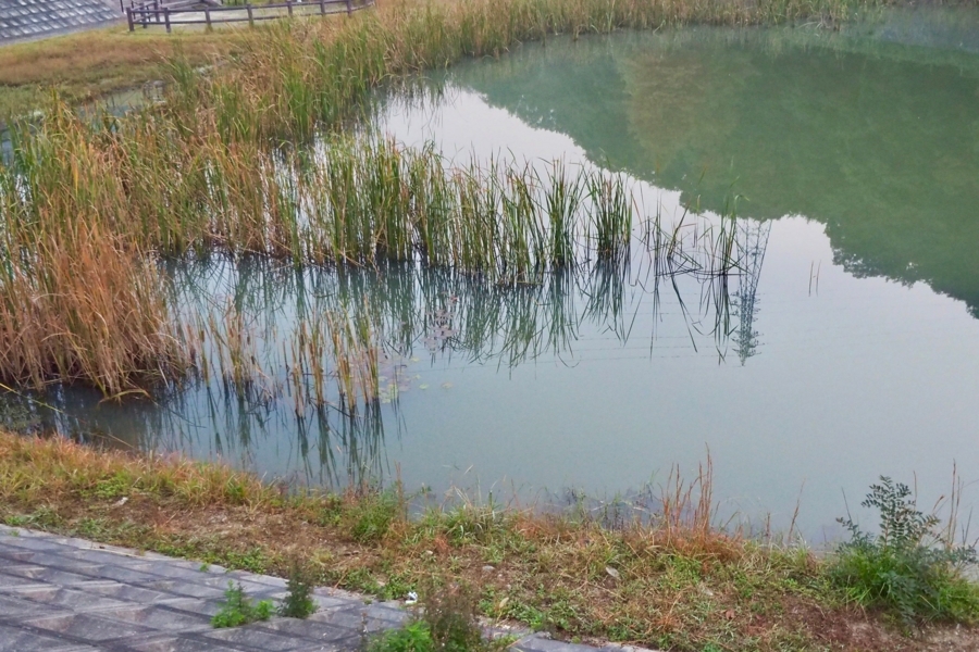 f:id:cippillo:20171211191519j:plain