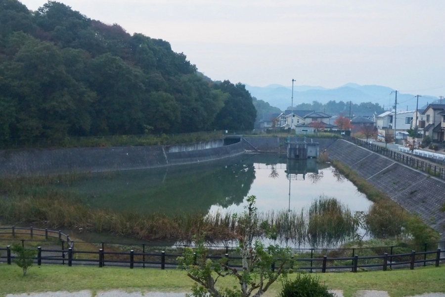 f:id:cippillo:20171211191520j:plain