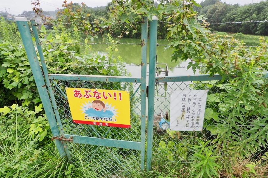 f:id:cippillo:20171222090353j:plain 利府野池