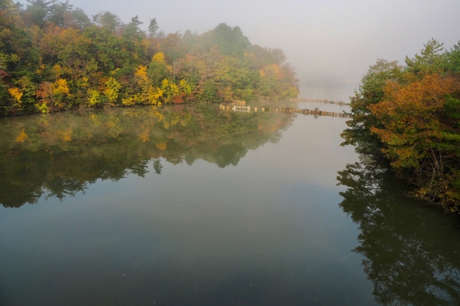 f:id:cippillo:20171230205920j:plain