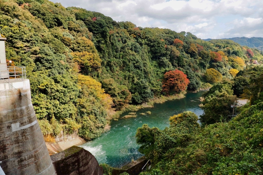 f:id:cippillo:20180106081815j:plain