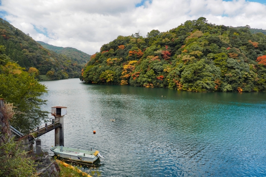 f:id:cippillo:20180106081817j:plain