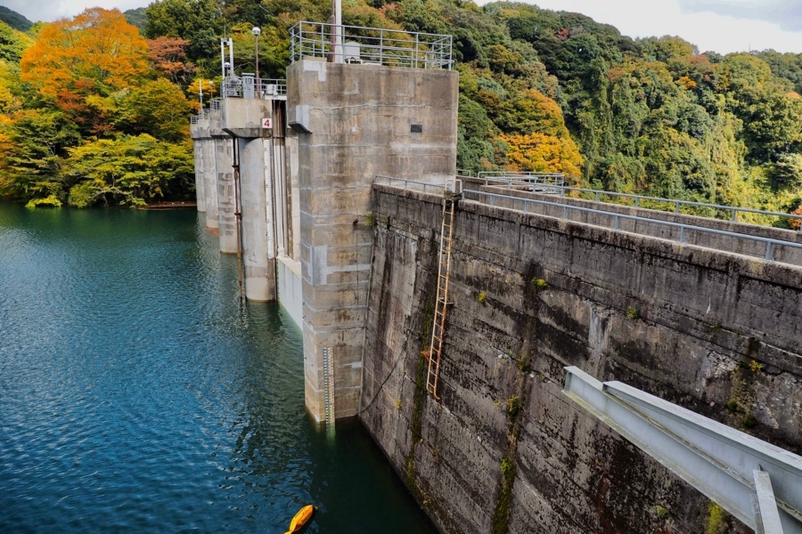 f:id:cippillo:20180106081819j:plain