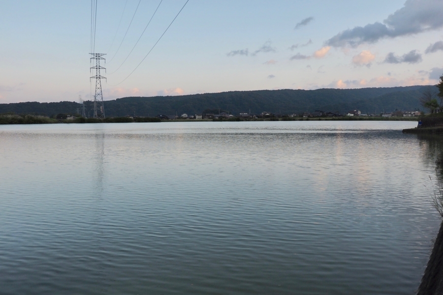 f:id:cippillo:20180202092233j:plain