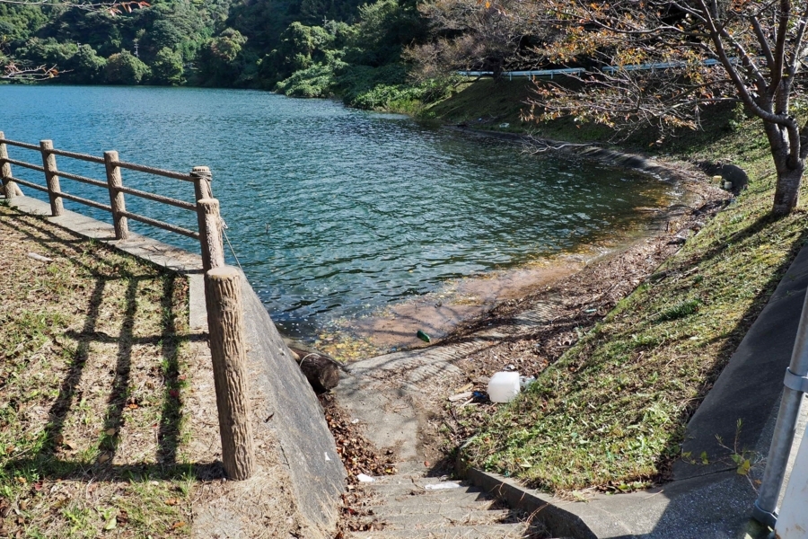 f:id:cippillo:20180218113513j:plain