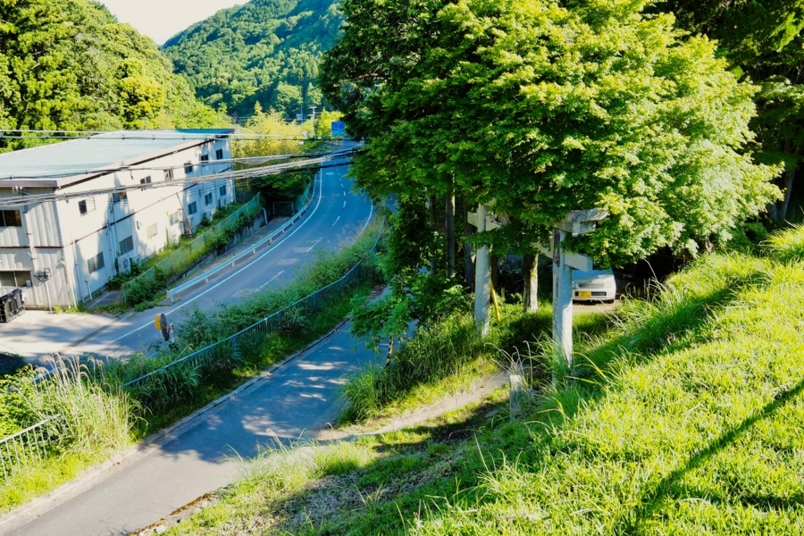 f:id:cippillo:20180223195335j:plain