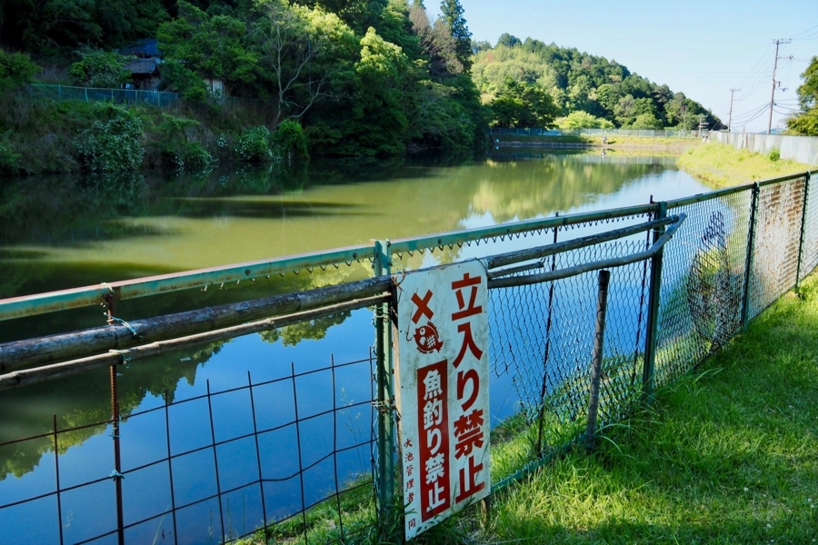 f:id:cippillo:20180223195336j:plain