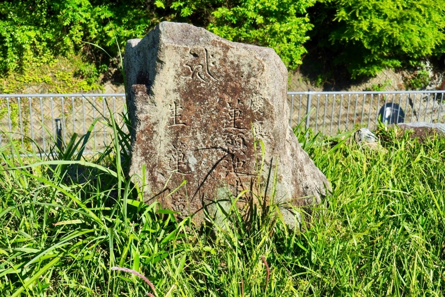 f:id:cippillo:20180223195337j:plain