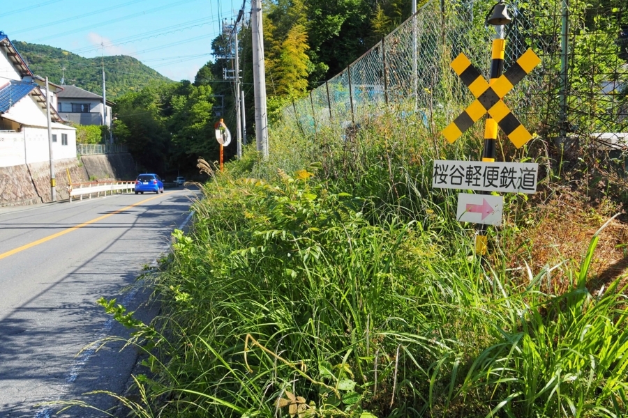 f:id:cippillo:20180223195344j:plain