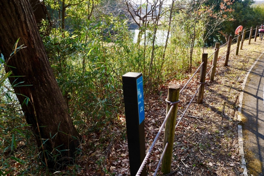 新沼(埼玉県滑川) 水辺遍路