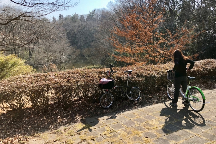 f:id:cippillo:20180307095155j:plain