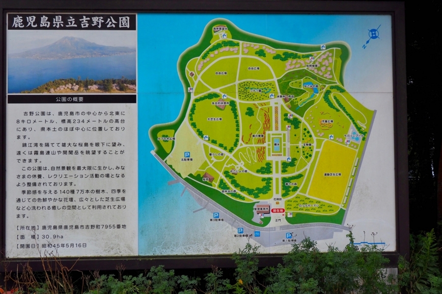 f:id:cippillo:20180310135238j:plain