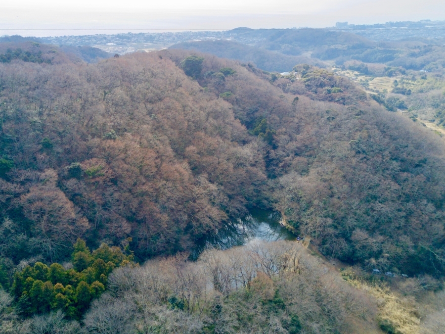 f:id:cippillo:20180313150927j:plain f:id:cippillo:20180313150927j:plain