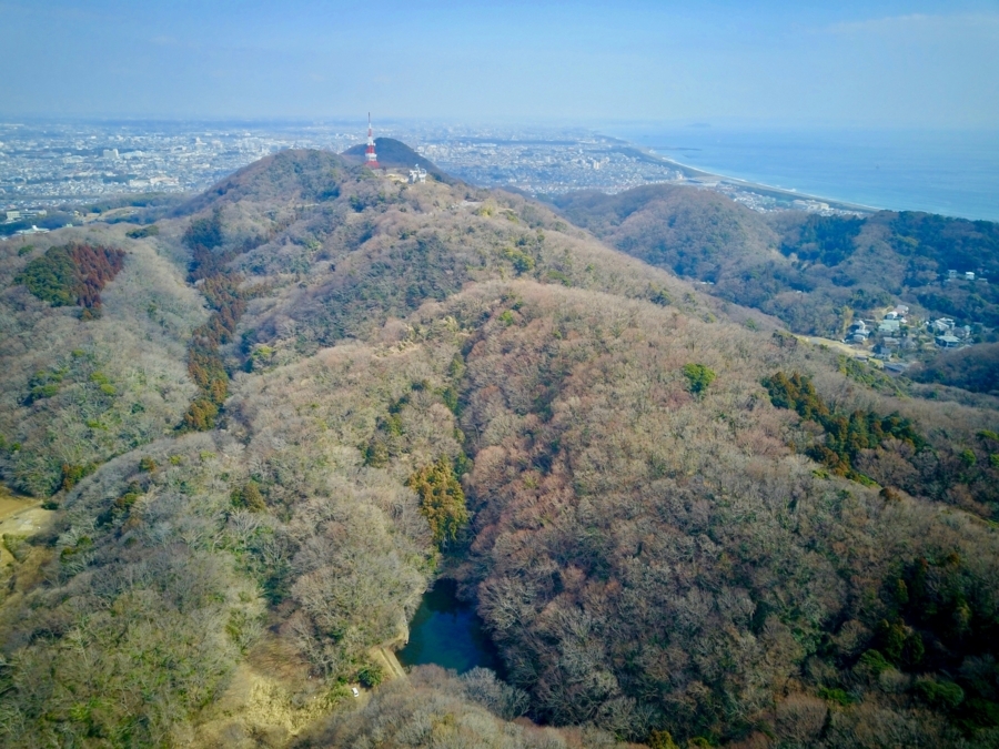 f:id:cippillo:20180313150929j:plain f:id:cippillo:20180313150929j:plain