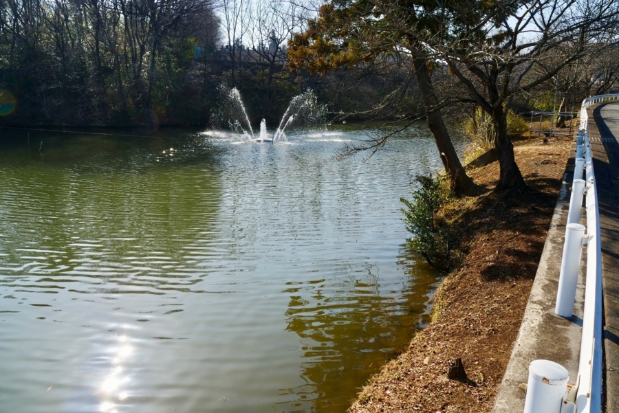 f:id:cippillo:20180314085343j:plain f:id:cippillo:20180314085343j:plain