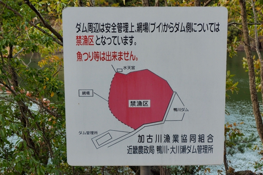 f:id:cippillo:20180314085347j:plain