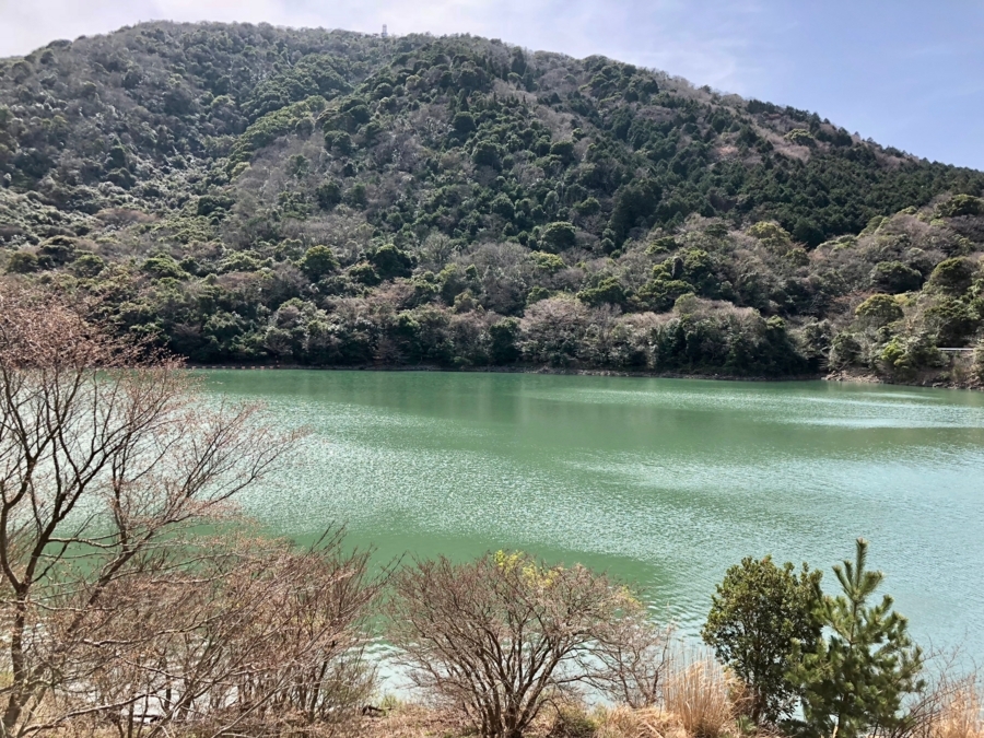 f:id:cippillo:20180328172623j:plain