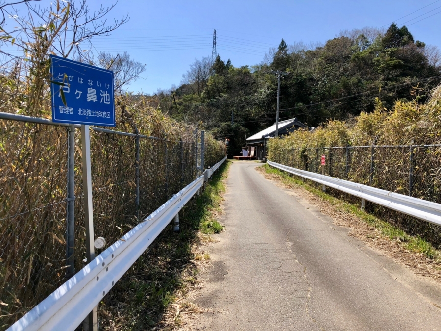 f:id:cippillo:20180331134231j:plain