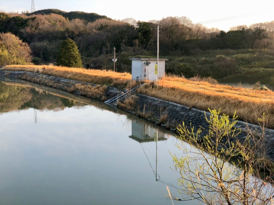 f:id:cippillo:20180403200000j:plain