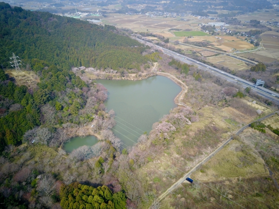f:id:cippillo:20180406132448j:plain f:id:cippillo:20180406132448j:plain