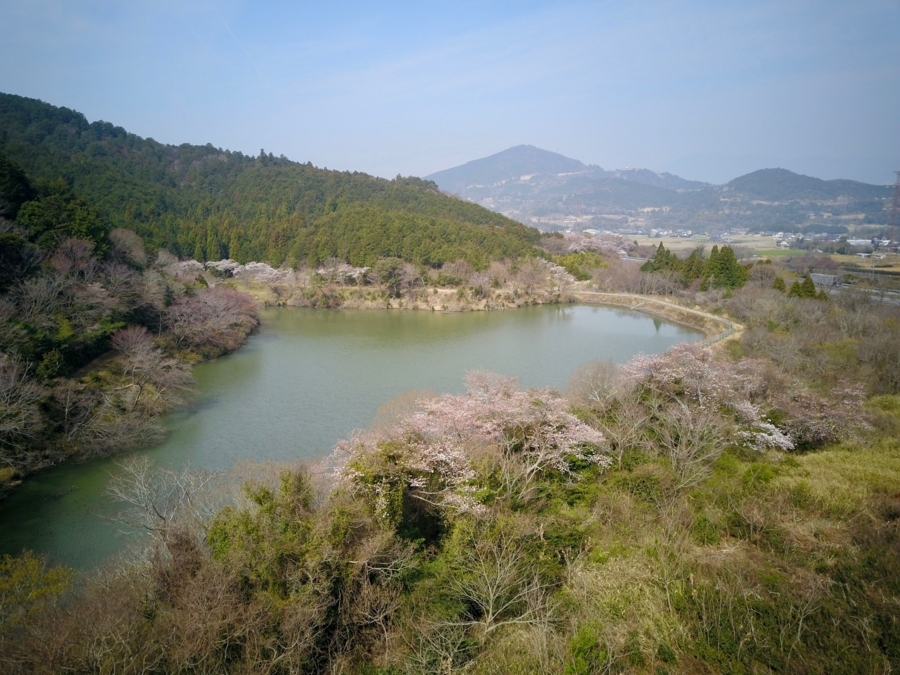 f:id:cippillo:20180406132453j:plain f:id:cippillo:20180406132453j:plain