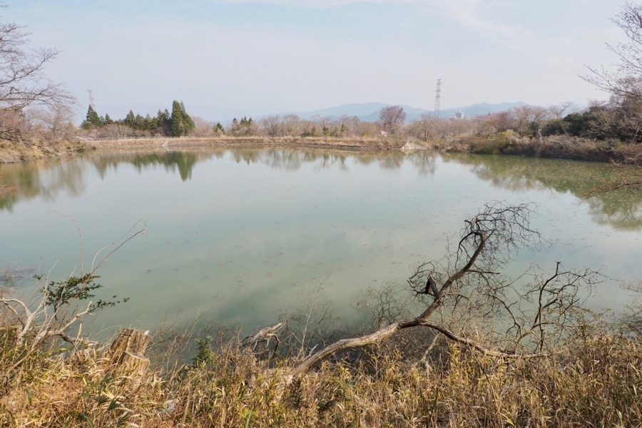 f:id:cippillo:20180406143637j:plain f:id:cippillo:20180406143637j:plain