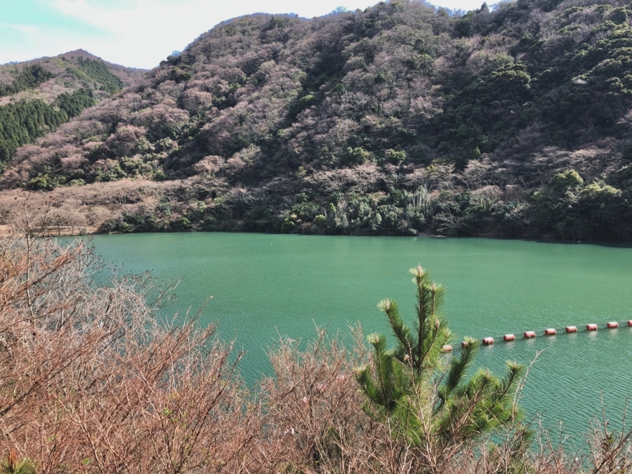 f:id:cippillo:20180407101255j:plain