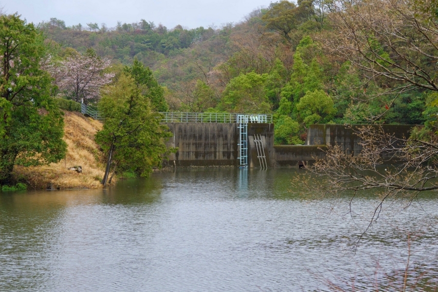 f:id:cippillo:20180411075030j:plain