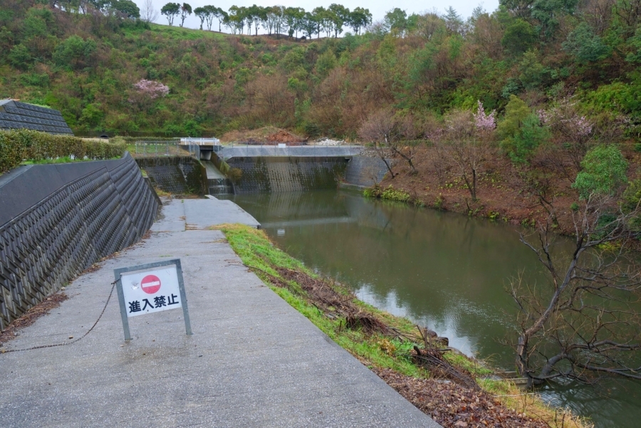 f:id:cippillo:20180411075032j:plain