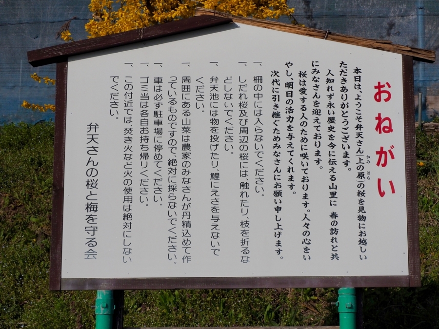 f:id:cippillo:20180417130344j:plain