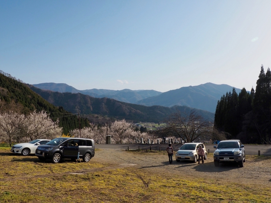 f:id:cippillo:20180417130345j:plain