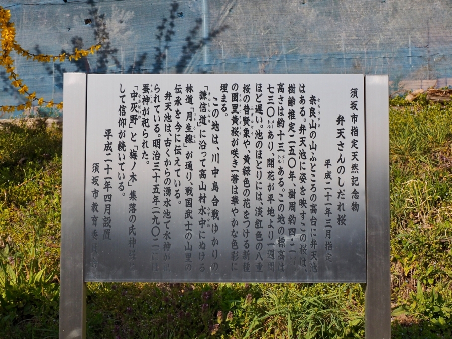 f:id:cippillo:20180417130346j:plain