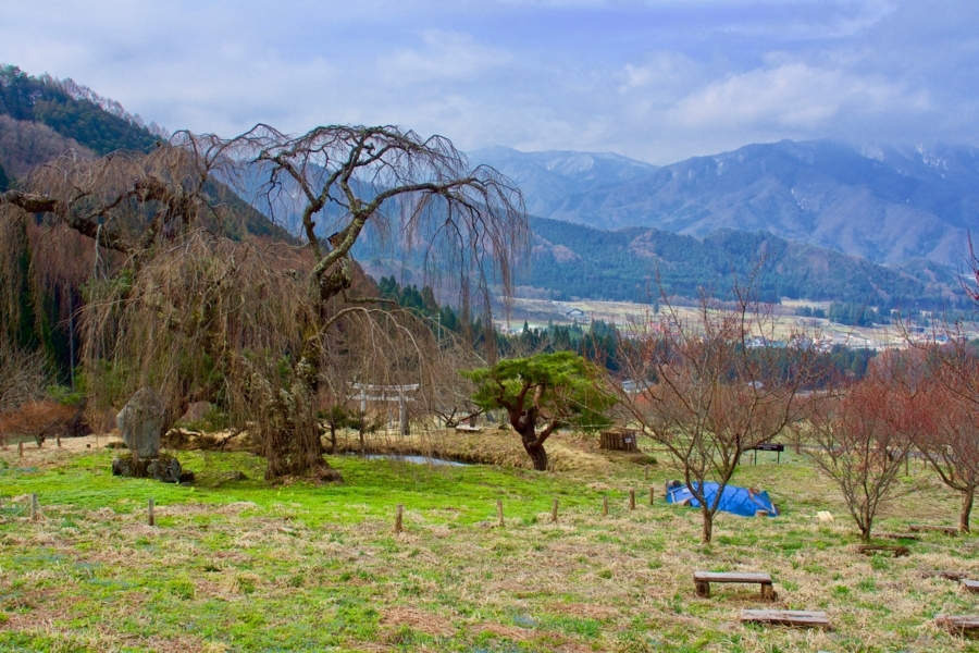 f:id:cippillo:20180417233056j:plain