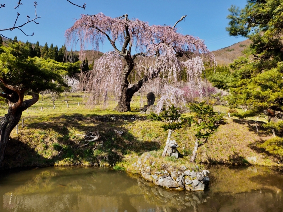 f:id:cippillo:20180417233106j:plain