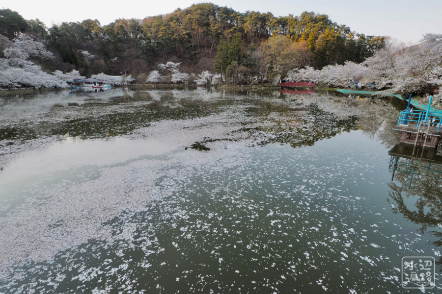 f:id:cippillo:20180418113717j:plain