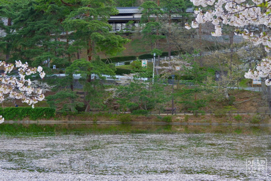 f:id:cippillo:20180418113718j:plain