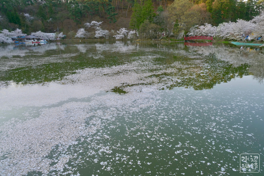 f:id:cippillo:20180418113720j:plain