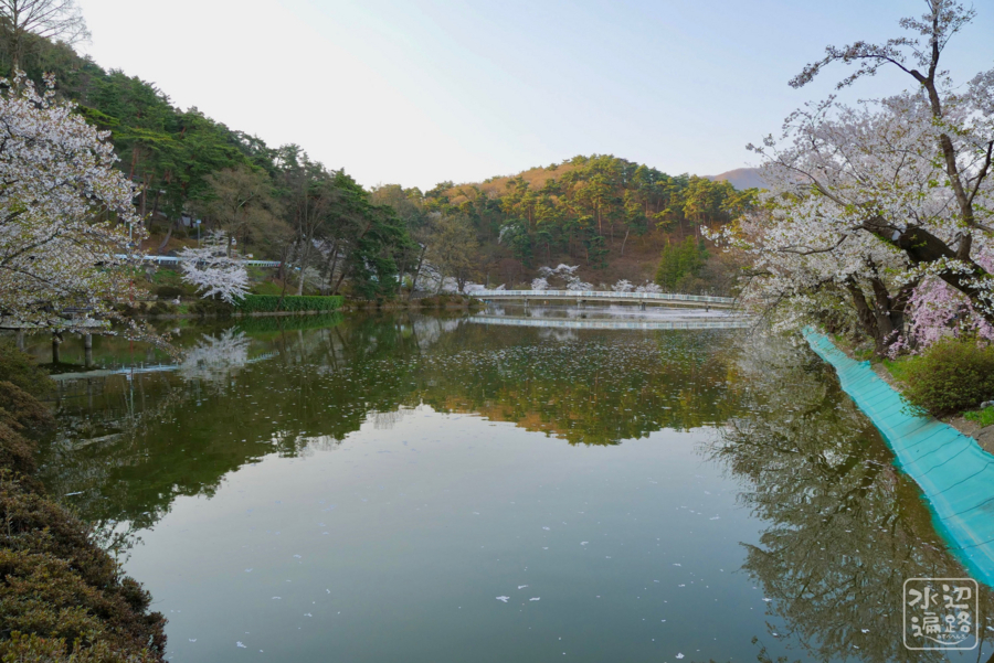 f:id:cippillo:20180418113723j:plain