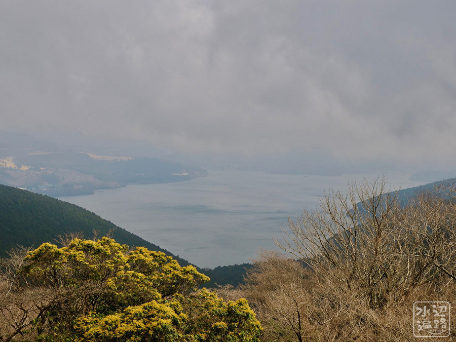 f:id:cippillo:20180420112348j:plain f:id:cippillo:20180420112348j:plain